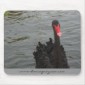 black swan mousepad