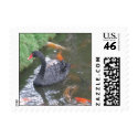 Black Swan postage
