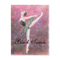 Black Swan Postcard