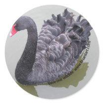 black swan stickers