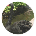 Black Swan Sticker