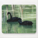 black swans mousepads