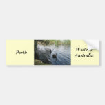 Black Swans, Perth Bumper Stickers
