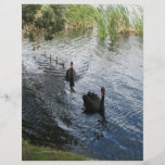 Black Swans, Perth Custom Flyer