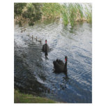 Black Swans, Perth Letterhead