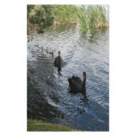 Black Swans, Perth Stationery Paper