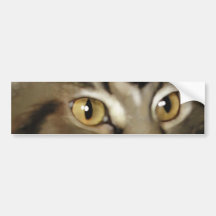 Black Tabby Maine Coon Cat Bumper Sticker