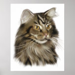 Black Tabby Maine Coon Cat Posters