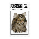 Black Tabby Maine Coon Cat Stamp