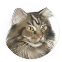 Black Tabby Maine Coon Cat Round Stickers