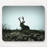 Black Tail Buck mousepads