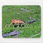 Black-tail Deer - Mt. Rainier National Park Mouse Pad