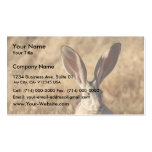 Black-tailed Jackrabbit Business Card Template