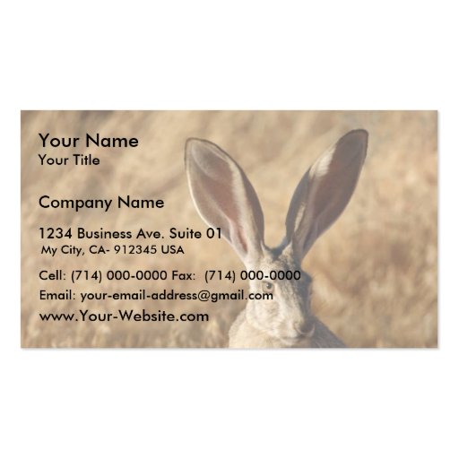Black-tailed Jackrabbit Business Card Template (front side)