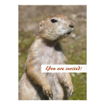 Black-tailed Prairie Dog Personalized Announcement