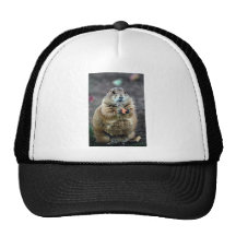 Black-tailed prairie dog, Sonoran Desert Museum, A Hat