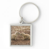 Black Tailed Prarie Marmot Keychains