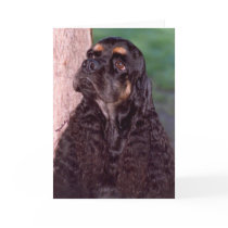 Black & tan Champion Cocker Spaniel greeting card by MartinisMommy Black & tan Champion Cocker Spaniel greeting card