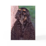 Black & tan Champion Cocker Spaniel greeting card