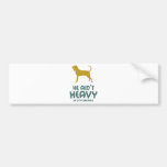 Black & Tan Coonhound Bumper Sticker