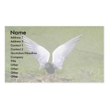 Black Tern landing on nest Business Card