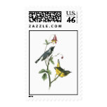 Black-throated Blue Warbler, John Audubon Stamps