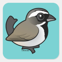 Black-throated Sparrow Stickers
