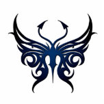 Black to blue butterfly magnet. photo sculptures