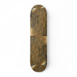 Black tooth, phellodon niger skate deck