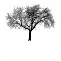 Black Tree t-shirts