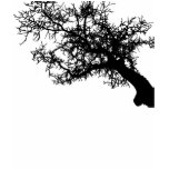 BLACK TREE t-shirts