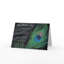 Black Velvet Peacock Feather Still Life Photograph Greeting Cards