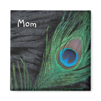 Black Velvet Peacock Feather Still Life Photograph Fridge Magnets