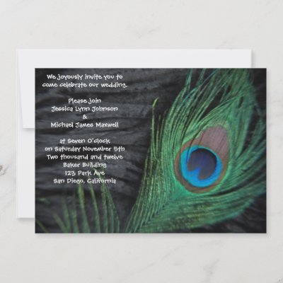 Black Velvet Peacock Wedding Invitation by Peacocks