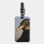black vulture bag tag