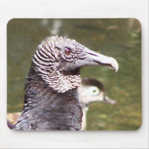 Black Vulture Mouse Mat