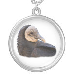 black vulture necklaces