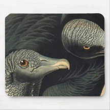 Black Vultures, John James Audubon Mouse Pads