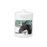 Black Warmblood Teapot