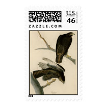 Black Warrior Postage