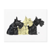 Black & Wheaten Scottish Terriers Post Cards