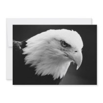 Black & White Bald American Eagle Invitation