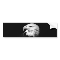 Black & White Bald Eagle Bumper Sticker