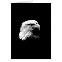Black & White Bald Eagle Cards