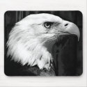 Black & White Bald Eagle mousepads