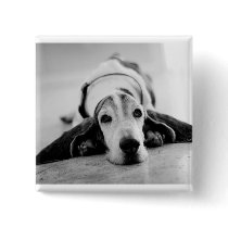 Black & White Basset Hound Button by azbassetrescue Black & White Basset Hound Button