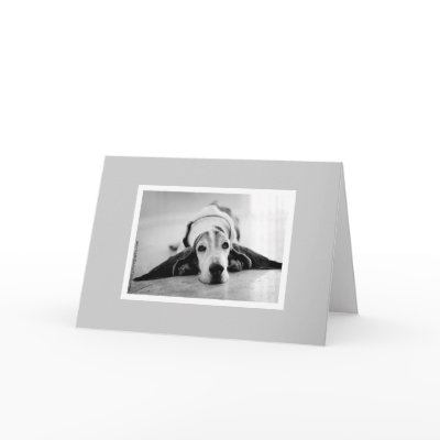 Black & White Basset Hound Card by azbassetrescue