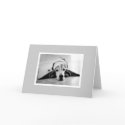 Black & White Basset Hound Card card