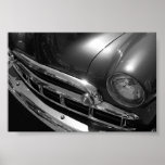 Black & White Beauty posters