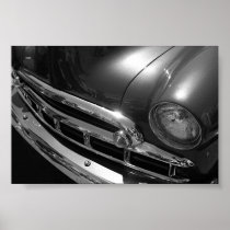 Black & White Beauty Poster